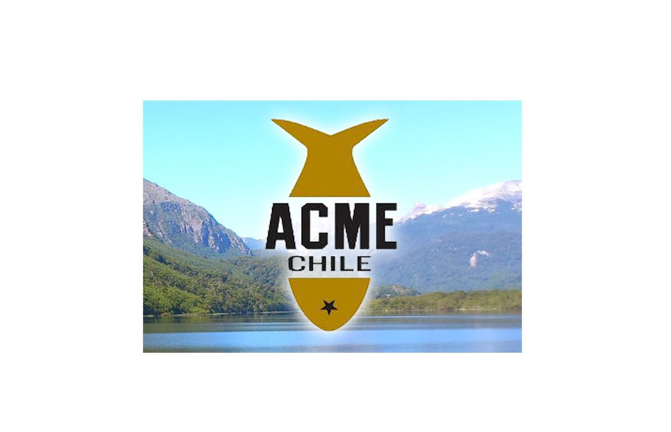 Excel Intermedio ACME